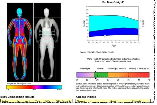 DEXA scan for body fat sample results